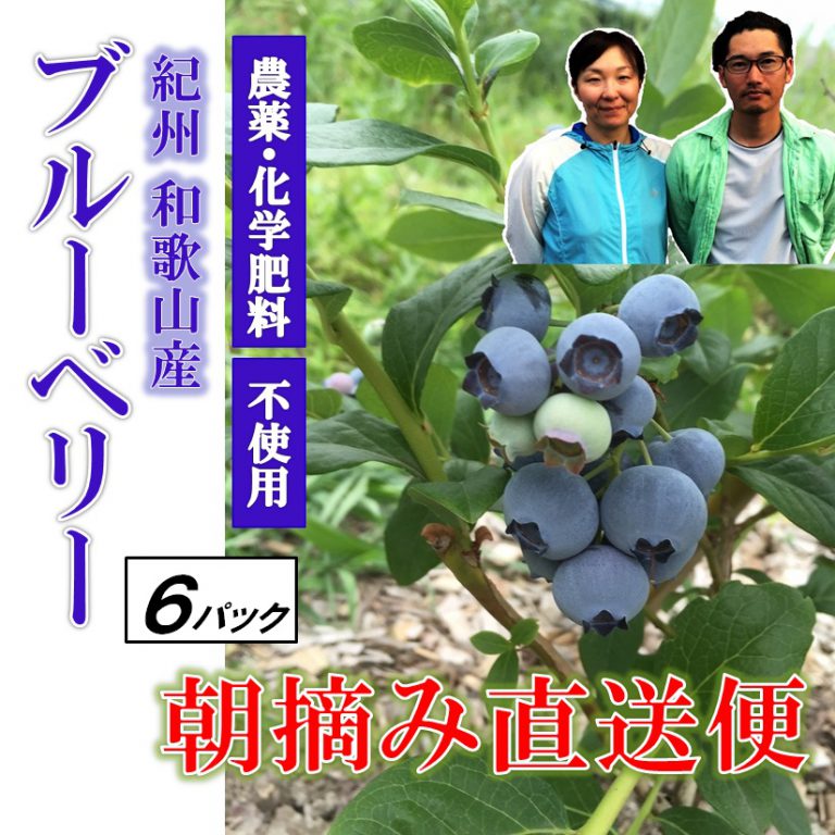 blueberry6p