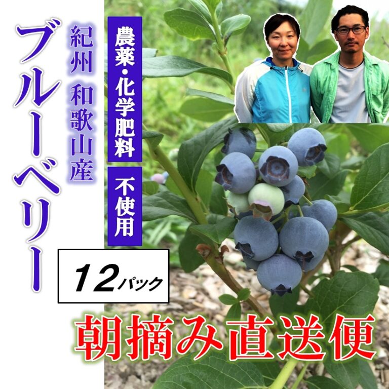 blueberry12p
