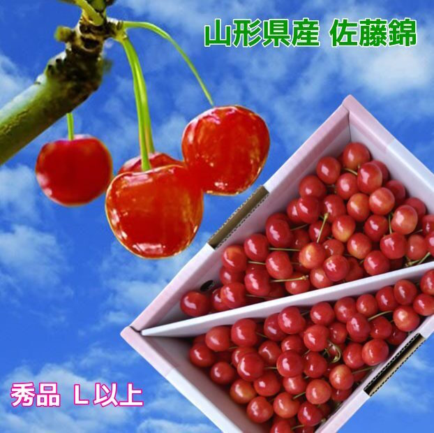 cherry-syu1